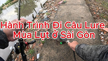 Trải nghiệm câu cá lóc hồ Út Lệ ngày mưa bão, triều cường nước dâng ngập lối