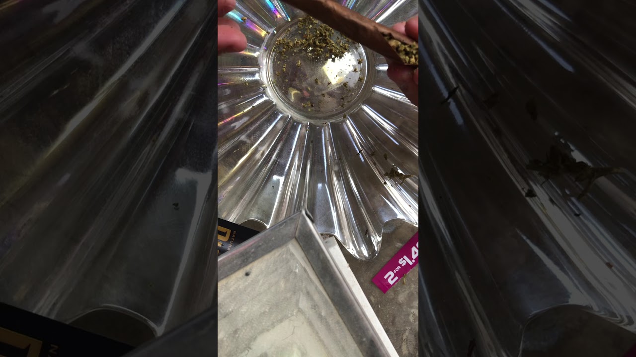 Rolling a blunt/ Dutch berry fusion 👌🏽🔥