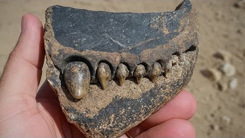 12 Most Ancient Archaeological Discoveries Scientists Still Can