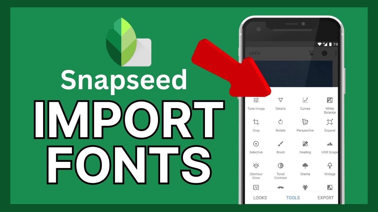 How to Import Fonts in Snapseed 2024?