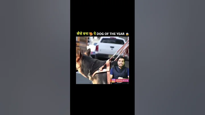 एक डॉग ने बचाई अपने मालिक की जान 😲| Arvind Arora |A2 Motivation | # shorts