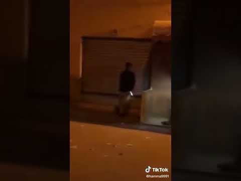 تقليد المباحث 