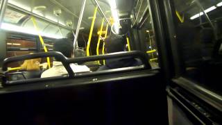 Toronto Transit Commission 2004 Orion 07.501 VII Diesel #7556 on Route 34 Eglinton East