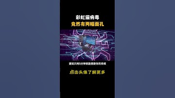 彩虹猫病毒竟然有两幅面孔#hacker #网络安全 #cybersecurity #计算机 #分享 #熱門