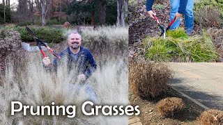 How to Cut Back Grasses and Grass-Like Plants