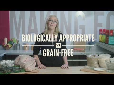 biologically-appropriate-vs-grain-free