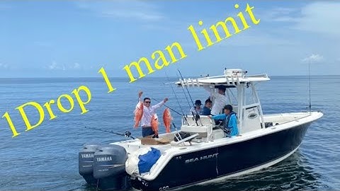 Câu cá Hồng/Red snapper fishing