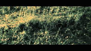 Once Upon A Time In Anatolia - Trailer