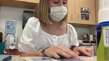 Guided Reading Lesson (second practicum lesson)