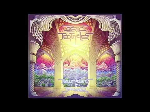 Ozric Tentacles ? The High Pass