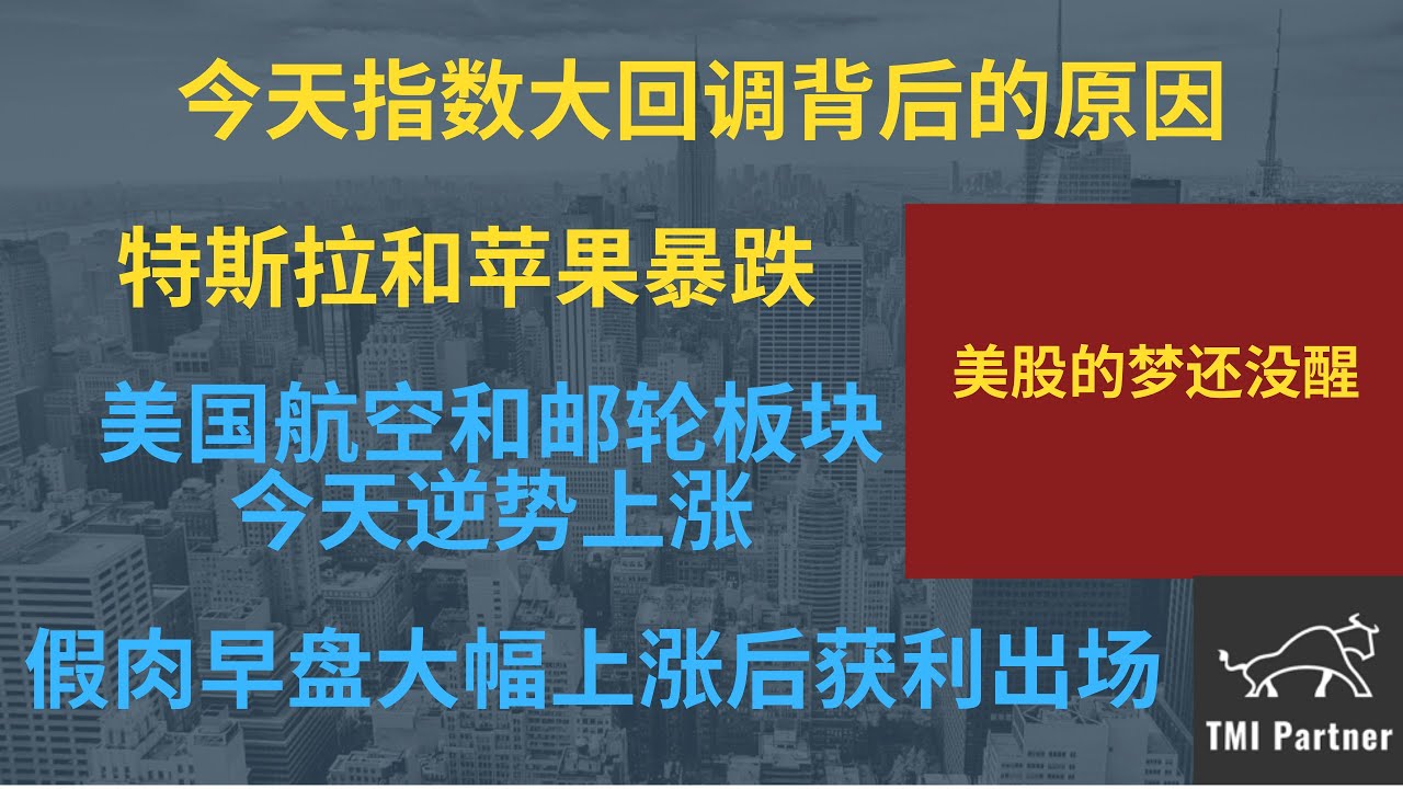 美股分析 今天指数大回调背后的原因 特斯拉和苹果暴跌！美国航空和邮轮股逆势上涨 假肉早盘大幅上涨后获利出场！
