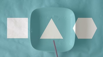 Part 7: Hexagons in Nature