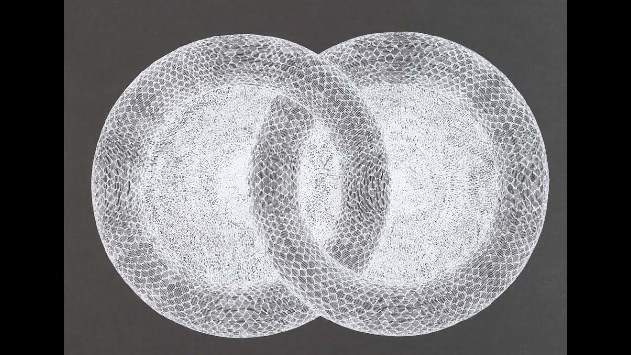 mirrorring foreign body mirrorring foreign body
