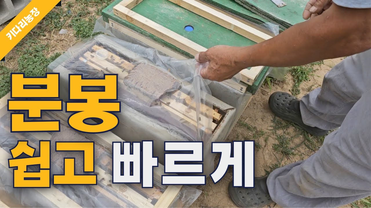 이렇게 분봉 합니다