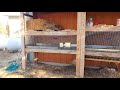 How to Determine Your Best Rabbit Housing | Meat Rabbits 103