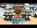 Hatched Holly Egg Using 13 Accounts And I Got These Pets! - Bubble Gum Simulator Roblox