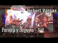 Hebert Vargas - resumen  Pereira y Segovia Ant