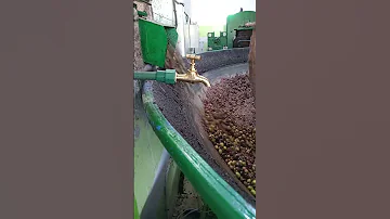 زيارة معصرة الزيتون في البادية معصرة حديثة لطحن الزيتون واستخلاص زيت الزيتون الزيتون البادية زيت 