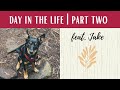 DAY IN THE LIFE | Pt. 2 | An Afternoon with Jake