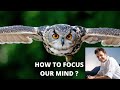 How To Focus Our Mind| Apne Mind ko Focus Kaise karein|What is Meditation