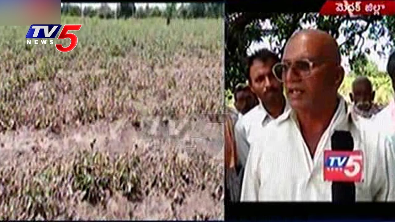 Farmers in Huge Losses Due To Heavy rains In Medak |Telangana | Telugu ...