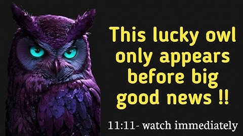 ✨11:11​💌Kijk direct!! Deze geluksuil verschijnt voor groot goed nieuws✨