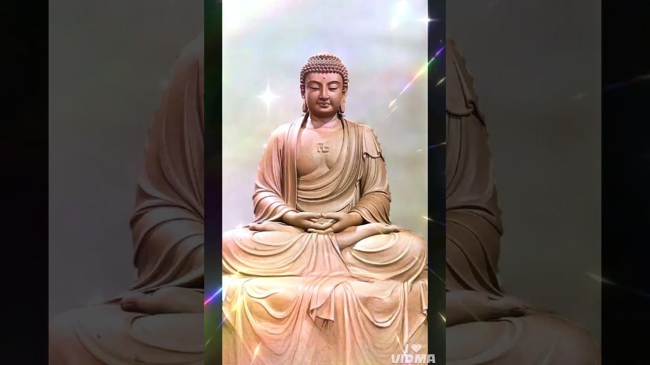 #शॉर्ट #वीडियो 👉#नमो_बुद्धाय #buddha #budaya #business #budget #motivation 👌🍁