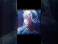 Genshin edit