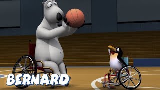 Bernard Bear | Wheelchair Basketball AND MORE | Cartoons for Children