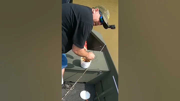 HOW TO USE CHEESE BAIT! FOR CATFISH!! #fishing #catfish #shorts