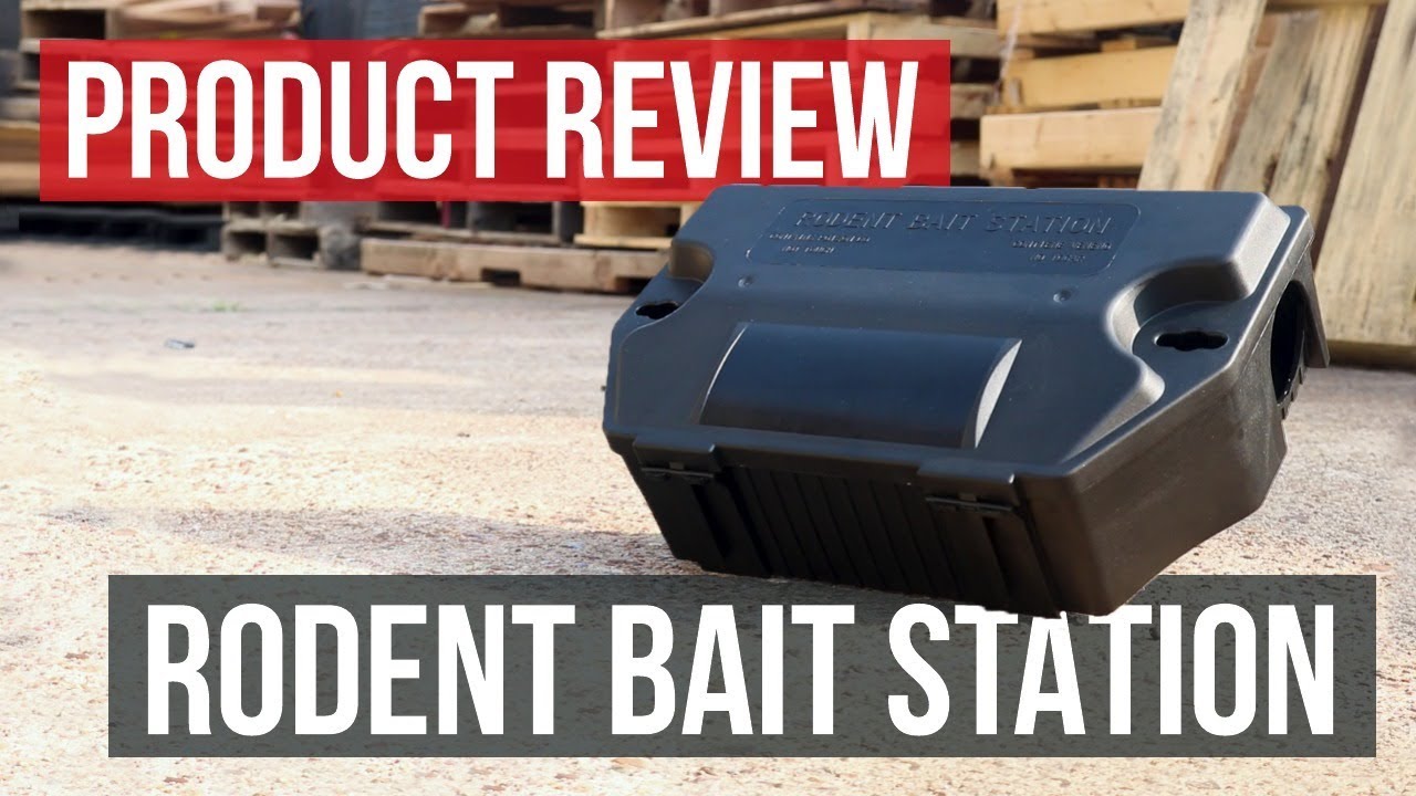 Tamper-Proof Rodent Bait Station: Product Review 