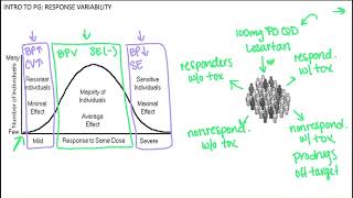 Pharmacogenetics I: Intro
