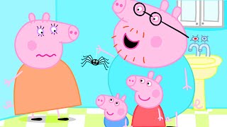 Peppa Pig Official Channel | Spider Web | Peppa Pig Season 5