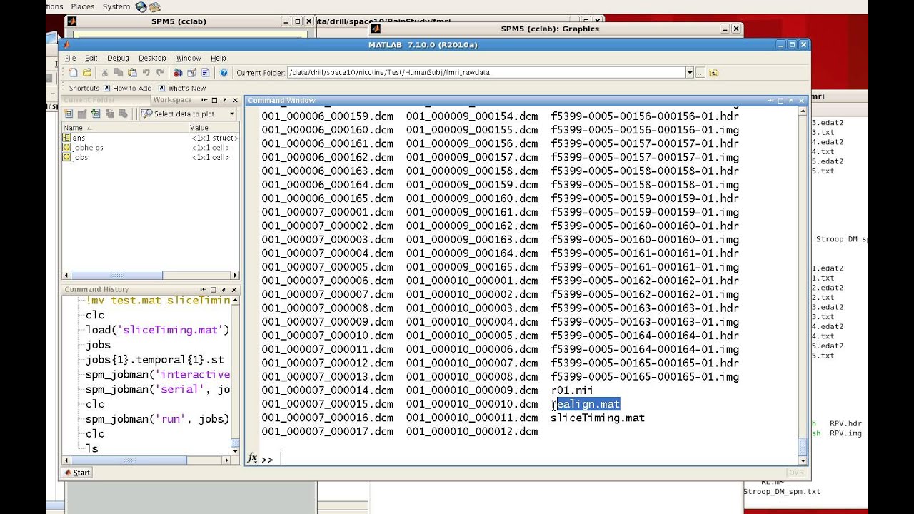 SPM Tutorial: spm_jobman