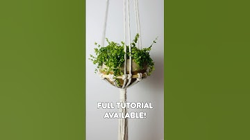 Simple macrame plant hanger DIY tutorial #macramedecor #macrameplanthanger #macrametutorial