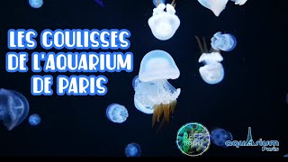 L'AQUARIUM DE PARIS ET SA PARTIE TECHNIQUE