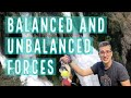 Forces in Motion and Balance Explored Through Real-World Examples