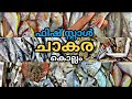 fish സ്റ്റാളിലെ ചാകര | fish stall | fish market | fish | fish market in kollam | You map traveller