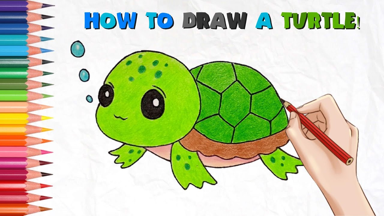 Learn How to Draw Easy Turtle Drawing in SIMPLE STEPS - YouTube