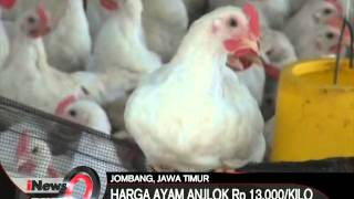 Download lagu Merebaknya flu burung berimbas pada anjloknya harga ayam - iNews Malam 24/03