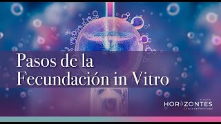 Pasos de la Fecundación In Vitro