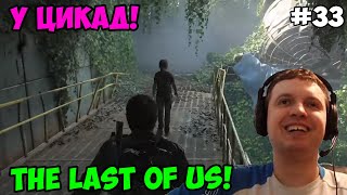 Папич играет в The Last of Us! У цикад! 33