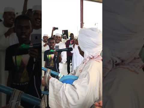 معاويه المقل هيثم احكيلكم حكايتوا حفله الدوحه قطر