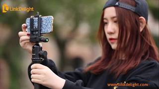 Weifeng Wf-C6626 Carbon Fiber Tripod Kit Load Up To 6Kg -- Linkdelight