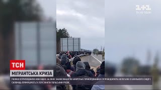 Новости мира: Польша готовится к крупнейшему с лета нашествию нелегалов из Беларуси