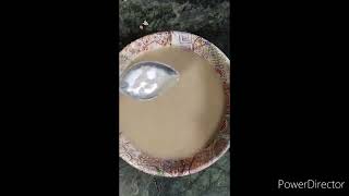 Baby Cerelac Homemade Recipe For New Moms Queens Video