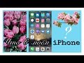 Что в моем iPhone? || What&#39;s on my iPhone?