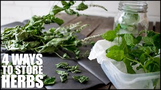 4 Efficient Methods For PRESERVING FRESH HERBS  How To Store Fresh Mint Leaves