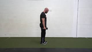 Bent Over Two Arm DB Row Bent Over Two Arm DB Row