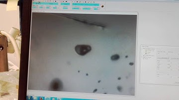 Melting temperature of chlathrate in H2O-CO2 inclusion